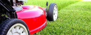 Mow it ALL Lawn care