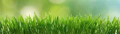 lawncarehome